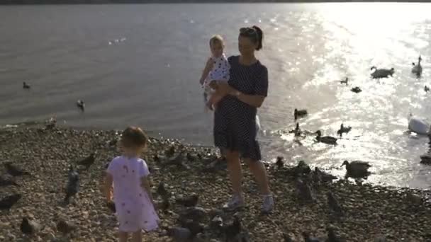 Jonge moeder met haar baby meisje dochters voeden zwaan en kleine eendjes vogels brood op een rivier dragen gestippelde jurk-familie waarden warme kleur zomer scène — Stockvideo