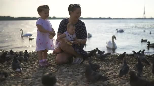 Ung mamma med sin bebis flicka döttrar utfodring svan och små ankungar fåglar bröd på en flod klädd i prickig klänning-familjens värderingar varm färg Sommarscen — Stockvideo