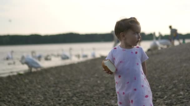 Jonge moeder met haar baby meisje dochters voeden zwaan en kleine eendjes vogels brood op een rivier dragen gestippelde jurk-familie waarden warme kleur zomer scène — Stockvideo