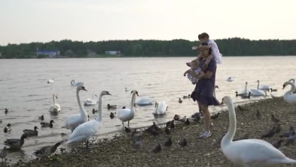 Ung mamma med sin bebis flicka döttrar utfodring svan och små ankungar fåglar bröd på en flod klädd i prickig klänning-familjens värderingar varm färg Sommarscen — Stockvideo