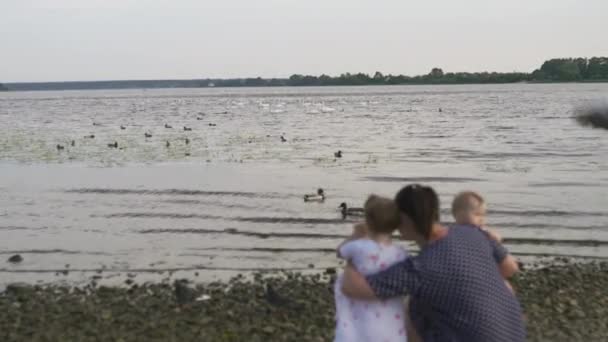 Mladá matka s holčičkou dcery, která krmí labutí a malé dukáty ptačí chléb u řeky na sobě tečkované šaty-rodinné hodnoty teplá barevná letní scéna — Stock video