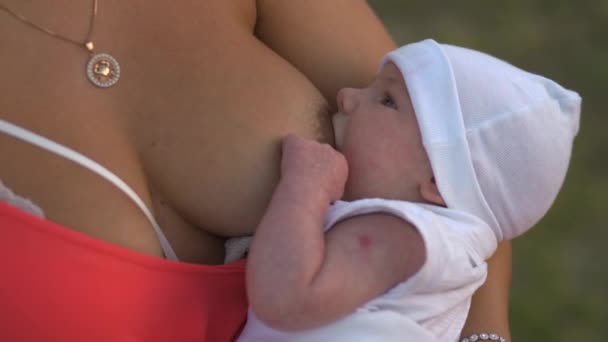 모유 수유 : 젊은 어머니는 밝은 빨간 드레스를 입고 야외에서 그녀의 아기 소년 아이를 모유로 기르고 - 아들이 흰색 모자를 착용 - 가족 가치 따뜻한 색상 여름 장면 핸드 헬드 — 비디오