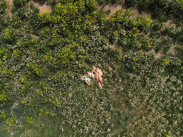 Drone aéreo: Madre teniendo divertido tiempo de juego de calidad con sus niñas en un parque soplando diente de león - Joven hippie rubia - Hijas usan vestidos similares con estampado de fresa - Valores familiares — Foto de Stock