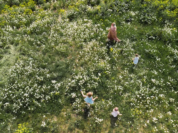 Drone aéreo: Madre teniendo divertido tiempo de juego de calidad con sus niñas en un parque soplando diente de león - Joven hippie rubia - Hijas usan vestidos similares con estampado de fresa - Valores familiares — Foto de Stock