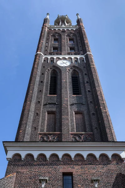 Chiesa San Pietro Torre Della Bibbia Worlitz Parco Una Parte — Foto Stock