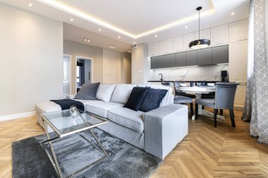 Modern oturma odası ve mutfak şık daire