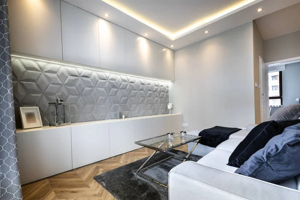 Stijlvolle Woonkamer Grijze Kleur Met Concrete Decoratie Wand — Stockfoto