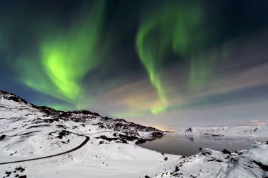 Reykjanes Yarımadası 'ndaki Aurora Borealis.