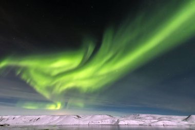 Reykjanes Yarımadası 'ndaki Aurora Borealis.