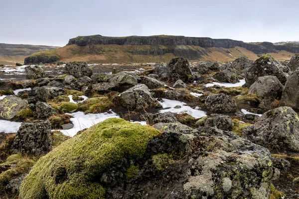 冰岛乡村冬季景观 — 图库照片