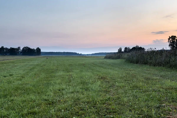 The Biebrza National Park in northern Poland — Stock Photo, Image