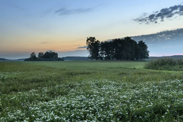 The Biebrza National Park in northern Poland — Stock Photo, Image