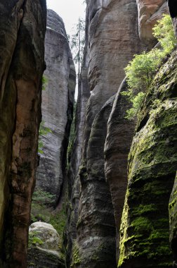 Adrspach ve Teplice Kayaları 'nın ünlü kumtaşı kuleleri. Nothe Bohemya, Adrspach ve Teplice 'deki yüksek kumdan taş kuleler.