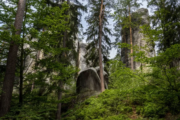 Célèbres Tours Rocheuses Grès Adrspach Teplice Rocks Hautes Tours Grès — Photo