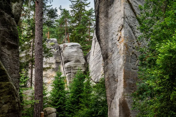 Famous Sandstone Rock Towers Adrspach Teplice Rocks High Sand Stone — Stock Photo, Image