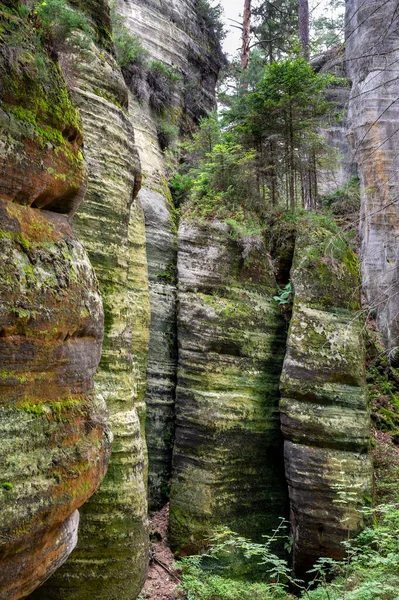 Berömda Sandstenstorn Adrspach Och Teplice Rocks Höga Sandstenstorn Norra Böhmen — Stockfoto