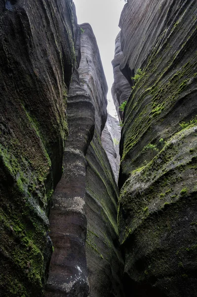 Famous Sandstone Rock Towers Adrspach Teplice Rocks High Sand Stone — Stock Photo, Image