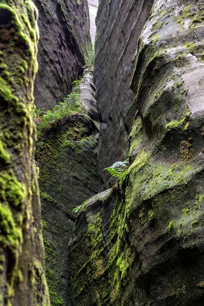 Adrspach Teplice Kayaları Nın Ünlü Kumtaşı Kuleleri Nothe Bohemya Adrspach — Stok fotoğraf