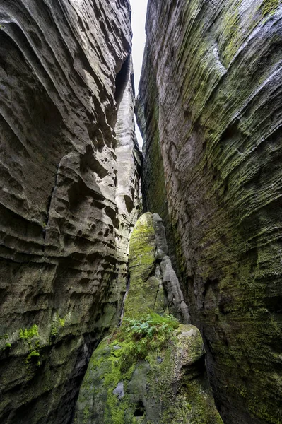 Famose Torri Pietra Arenaria Adrspach Teplice Rocks Alte Torri Pietra — Foto Stock