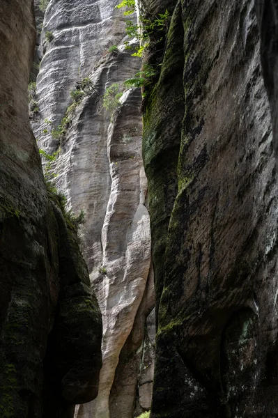 Adrspach和Teplice岩石著名的砂岩塔 诺布希米亚 Adrspach和Teplice的高沙石塔 — 图库照片