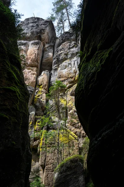 Adrspach Teplice Kayaları Nın Ünlü Kumtaşı Kuleleri Nothe Bohemya Adrspach — Stok fotoğraf