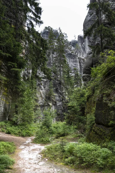 Famose Torri Pietra Arenaria Adrspach Teplice Rocks Alte Torri Pietra — Foto Stock