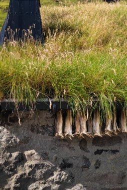 Faroe Adaları 'nın çatısında çimen olan tipik bir evin dışında kurutulmuş morina balığı.