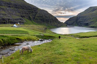 Kuzey doğası, Saksun, Stremnoy Adası, Faroe Adaları, Danimarka.