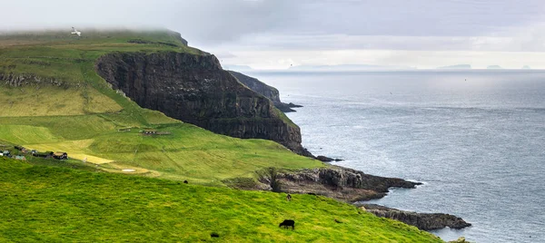 Nordic Natural Landscape Panorama Mykines Island Faroe Islands Denmark — 스톡 사진