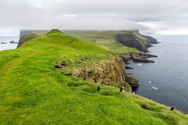 Nordic Natural Landscape Mykines Island Faroe Islands Denmark — 스톡 사진