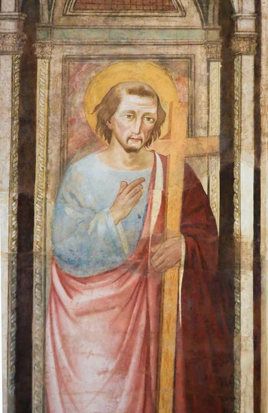 Firenze Agosto 2018 Affresco San Pietro Nella Basilica Santa Croce — Foto Stock