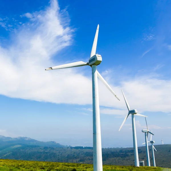 Aanlandige Wind Boerderij Het Noordelijke Deel Van Galicië Spanje — Stockfoto