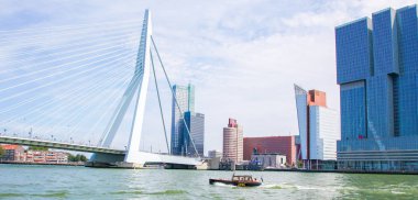 Rotterdam, Hollanda - 9 Ağustos 2015: Görünüm şehir merkezi ve Erasmus Bridge Rotterdam, Güney Hollanda, Hollanda.