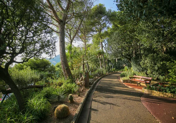 Πάγκος Στον Όμορφο Κήπο Martins Στο Rocher Μονακό Μονακό — Φωτογραφία Αρχείου