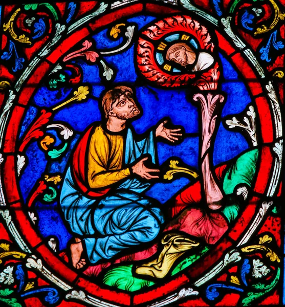 Glasmalerei in Notre dame, Paris - Baum von Jesu — Stockfoto