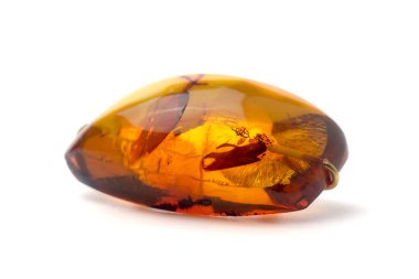 Beyaz arka plan üzerinde izole sarı broş.