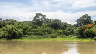 Göl manzara. Doğa arka plan