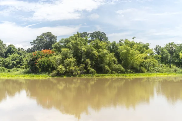 Göl manzara. Doğa arka plan