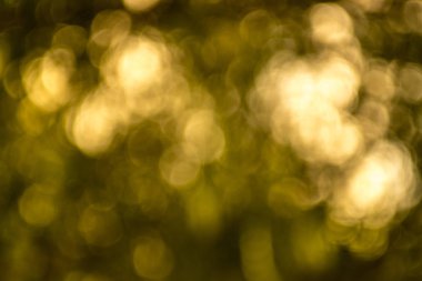 arka planı için sarı renk bulanıklık