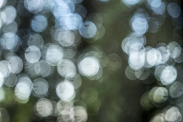 abstract blur green color for background
