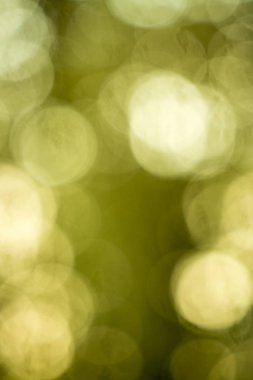 arka planı için yeşil renk bulanıklık