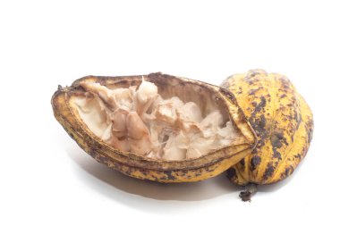 Beyaz zemin üzerine kakao bakla.