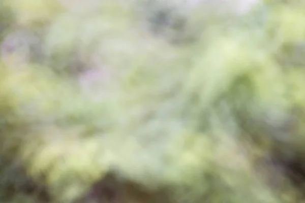 Abstrakt Oskärpa Grön Färg För Bakgrunden — Stockfoto