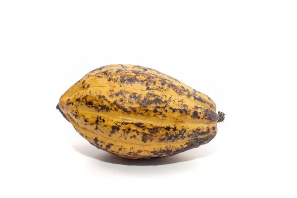 Kakaoschoten Auf Weißem Hintergrund — Stockfoto