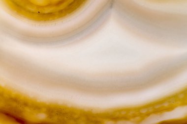 Doğal Sarı Akik kristal yüzey, Sarı Akik kristal yakın kesit. arka plan doku.