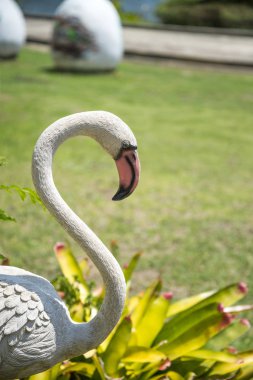 Parkta Flamingo sıva