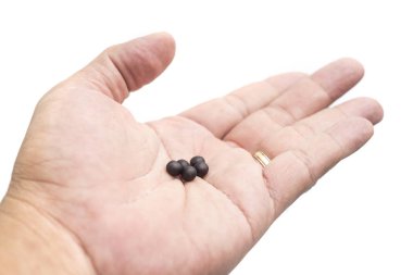 Bolus beyaz bir arka plan üzerinde eller.