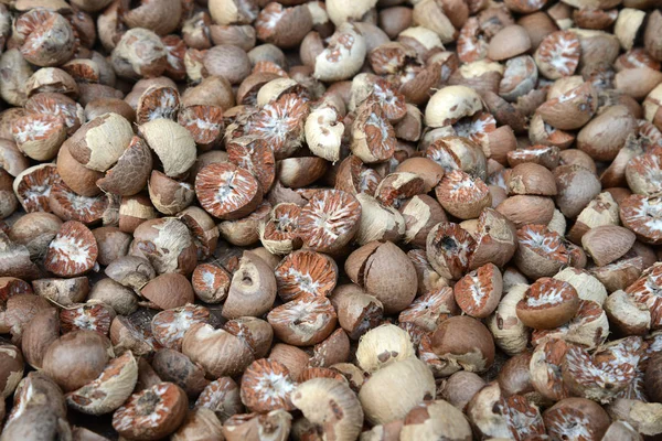 Cut Betel Nut Areca Dry Sunshine Eating — Stock Photo, Image