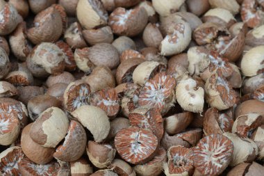 Kesme Betel fındık veya Areca yemek için güneş tarafından kuru oldu.