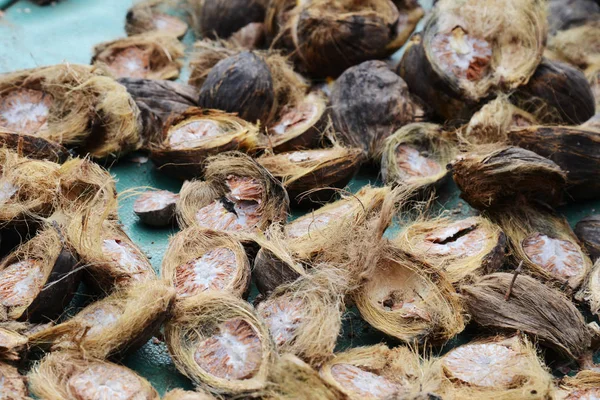 Cut Betel Nut Areca Dry Sunshine Eating — Stock Photo, Image